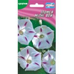 Іпомея Мілки Вей /15 насінин/ *Геліос*