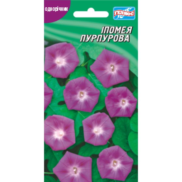 Насіння іпомеї пурпурової /20 насіння/ *Геліос*