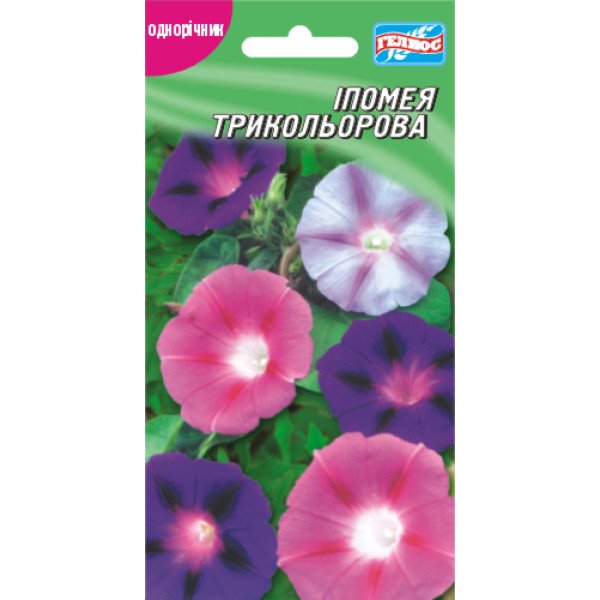 Насіння іпомеї Триколірна /25 насінин/ *Геліос*
