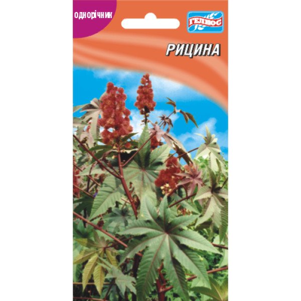 Семена клещевины декоративной /5 семян/ *Гелиос*