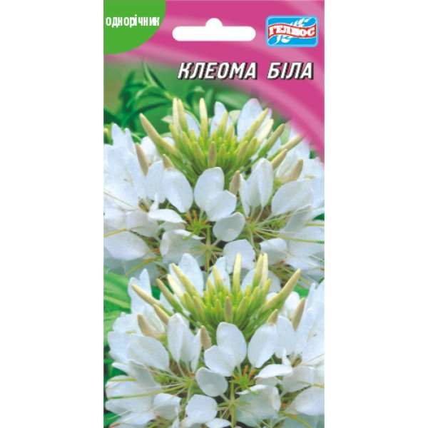 Семена клеомы белая /0,3 г/ *Гелиос*
