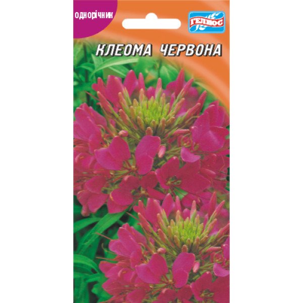Семена клеомы красной /0,3 г/ *Гелиос*