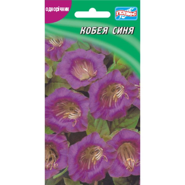 Насіння кобеї синя /5 насінин/ *Геліос*