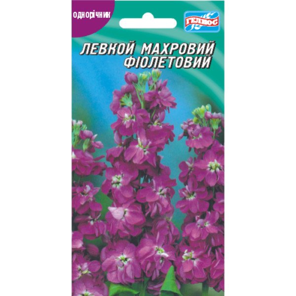 Насіння левкою махрового фіолетового /0,1 г/ *Геліос*