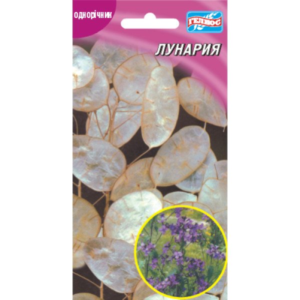 Семена лунарии /15 семян/ *Гелиос*
