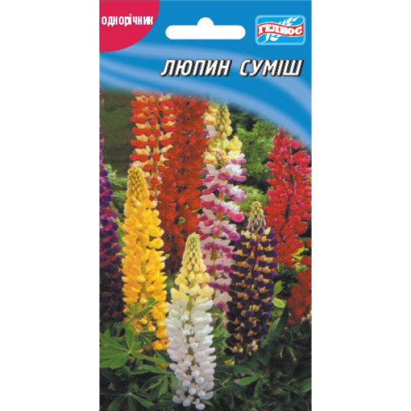 Семена люпина однолетний /20 семян/ *Гелиос*