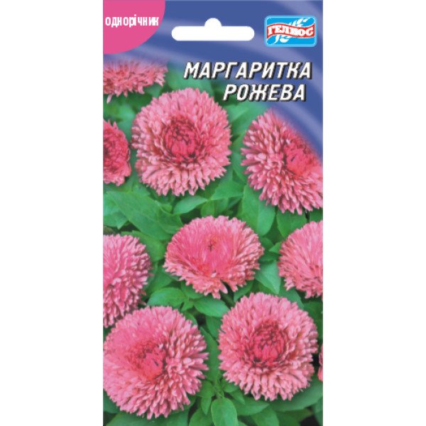 Насіння маргаритки рожевої /0,05 г/ *Геліос*