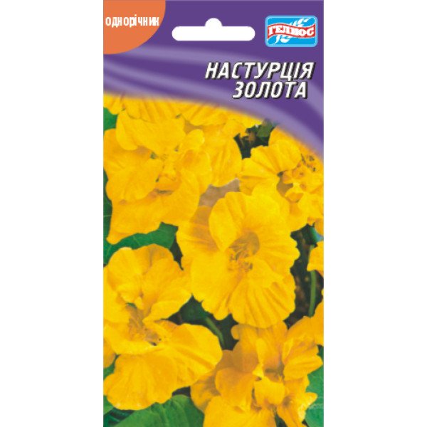 Насіння красолі золотої плетистої /10 насінин/ *Геліос*