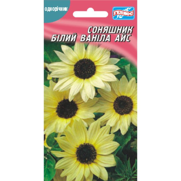 Насіння соняшника Ваніла Айс /10 насінин/ *Геліос*