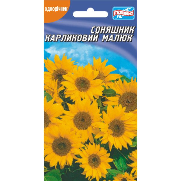 Насіння соняшника Малюк /10 насінин/ *Геліос*