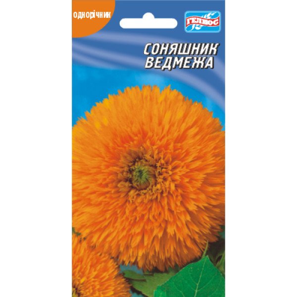 Насіння соняшнику Ведмежа /10 насінин/ *Геліос*