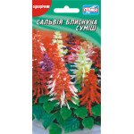 Сальвія блискуча суміш /0,1 г/ *Геліос*