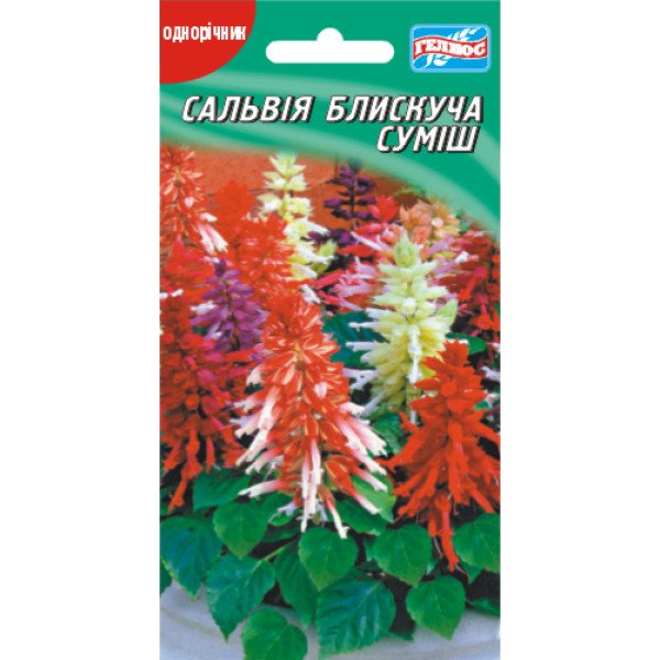 Насіння сальвії блискучої суміш /0,1 г/ *Геліос*
