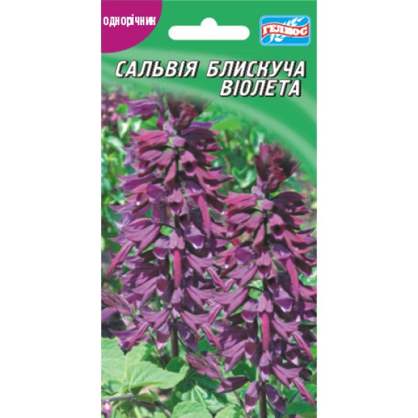 Семена сальвии Виолетта /0,1 г/ *Гелиос*