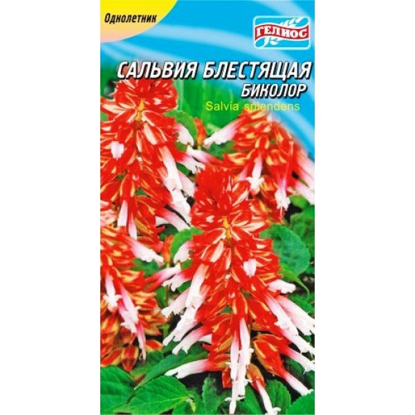 Семена сальвии Биколор /0,1 г/ *Гелиос*