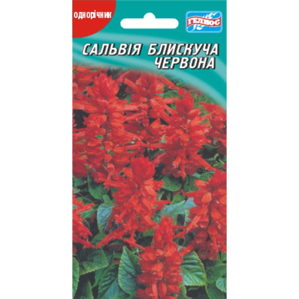 Семена сальвии красной /0,1 г/ *Гелиос*
