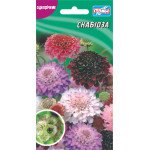 Скабиоза /0,3 г/ *Гелиос*