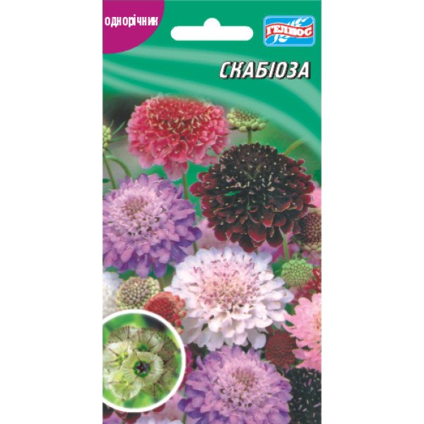 Семена скабиозы /0,3 г/ *Гелиос*