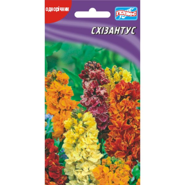 Семена схизантуса /0,1 г/ *Гелиос*