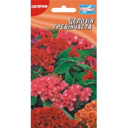 Целозия гребенчатая /0,1 г/ *Гелиос*