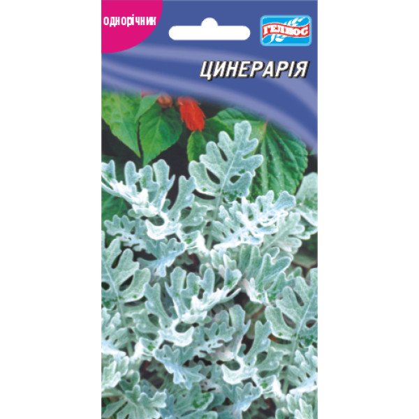 Семена цинерарии /0,1 г/ *Гелиос*