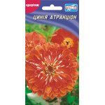 Цинния Атракцион /30 семян/ *Гелиос*