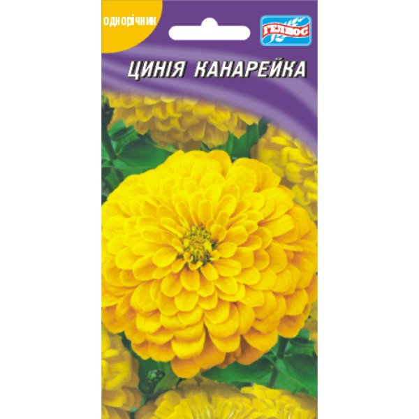 Семена циннии Канарейка /30 семян/ *Гелиос*