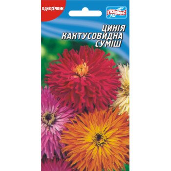 Цинния Кактусовидная смесь /30 семян/ *Гелиос*