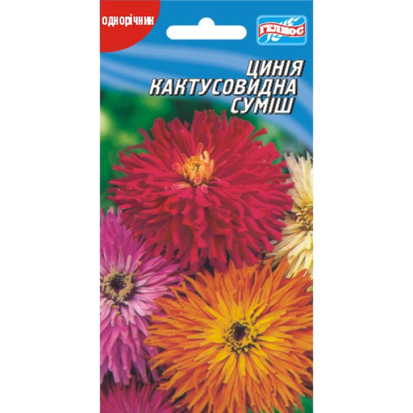 Насіння цинії Кактусоподібна суміш /30 насінин/ *Геліос*