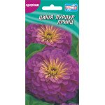 Цинния Пурпур Принц /30 семян/ *Гелиос*