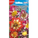 Жоржина Денді напівмахрова суміш /20 насіння/ *Геліос*