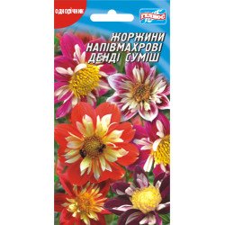 Жоржина Денді напівмахрова суміш /20 насіння/ *Геліос*