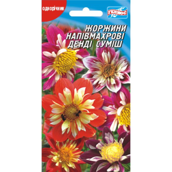 Насіння жоржини Денді напівмахрова суміш /20 насінин/ *Геліос*
