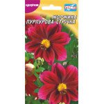 Жоржина Пурпурова стрічка /20 насінин/ *Геліос*