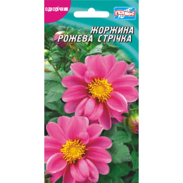 Насіння жоржини Рожева стрічка /20 насінин/ *Геліос*