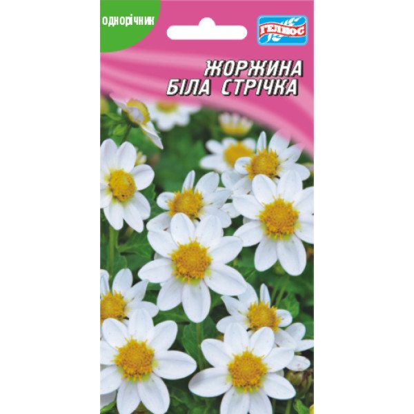 Семена георгины Белая лента /20 семян/ *Гелиос*