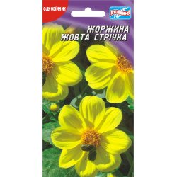 Жоржина Жовта стрічка /20 насінин/ *Геліос*