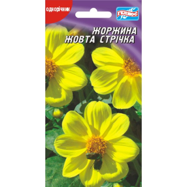 Насіння жоржини Жовта стрічка /20 насінин/ *Геліос*