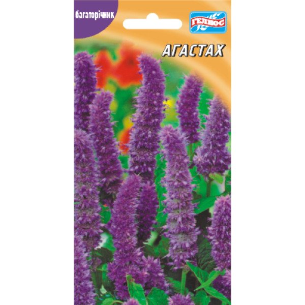 Семена агастаха Мексиканский /0,1 г/ *Гелиос*