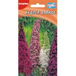 Будлея Давида /0,05 г/ *Гелиос*