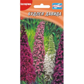 Будлея Давида /0,05 г/ *Гелиос*