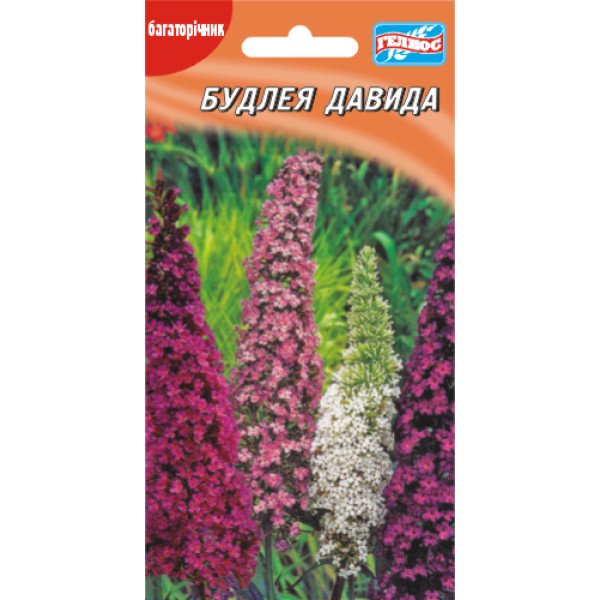 Насіння будлея Давида /0,05 г/ *Геліос*