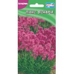 Ліхніс Віскарія /0,05 г/ *Геліос*