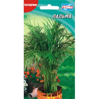 Пальма /3 насінини/ *Геліос*