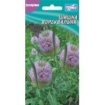 Шишка ворсовальная (Дипсакус) /10 семян/ *Гелиос*