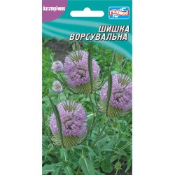Шишка ворсовальна (Діпсакус) /10 насінин/ *Геліос*