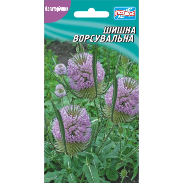 Шишка ворсовальная (Дипсакус) /10 семян/ *Гелиос*