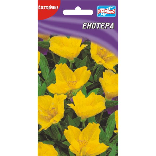 Энотера /20 семян/ *Гелиос*