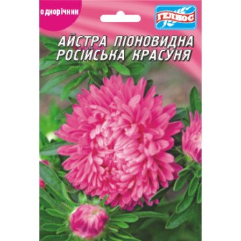 Астра Русская красавица /100 семян/ *Гелиос*