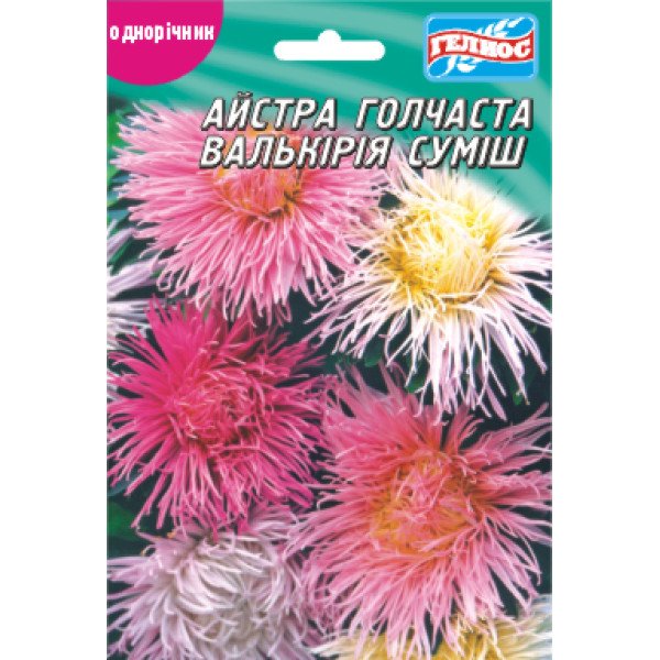 Насіння айстри Валькірія /100 насінин/ *Геліос*